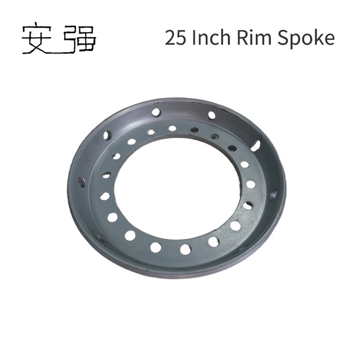 25 Inch Rim Spokes